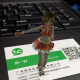 ar1